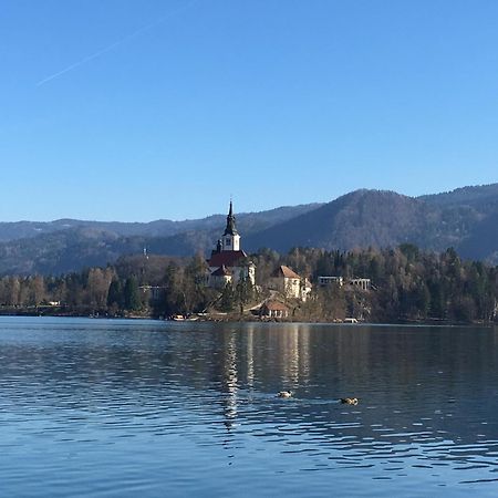 Vila Cerne Bled Exteriör bild